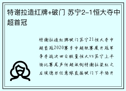 特谢拉造红牌+破门 苏宁2-1恒大夺中超首冠