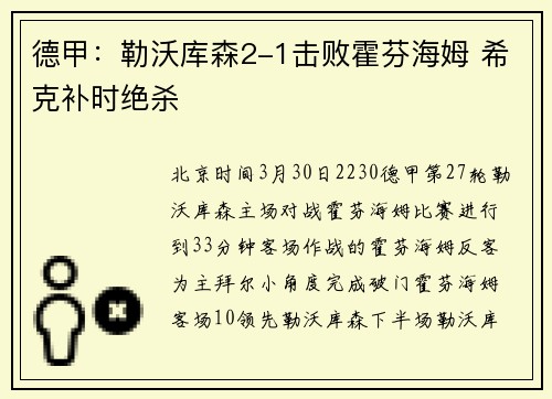 德甲：勒沃库森2-1击败霍芬海姆 希克补时绝杀